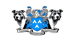 Royalguard-American-Staffordshire-Terrier
